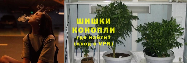 крисы Верея
