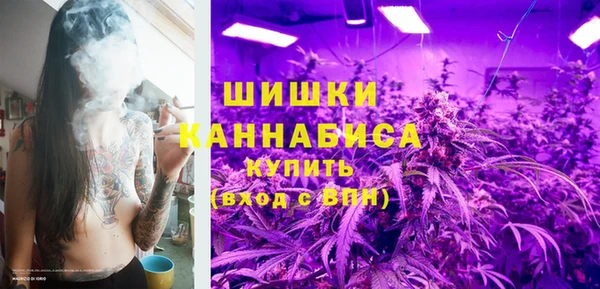 крисы Верея