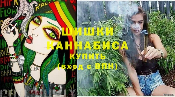 крисы Верея