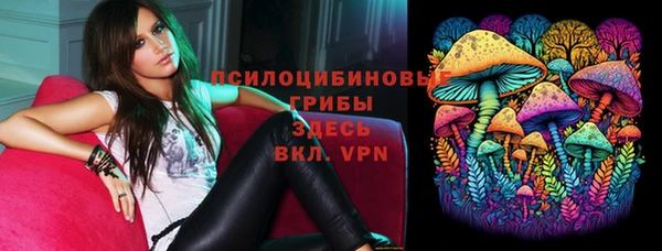 трава Бородино