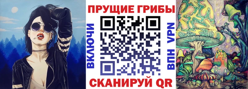 мега онион  Касимов  Псилоцибиновые грибы Cubensis 